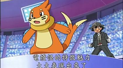 神奇宝贝花子选美 西瓜视频