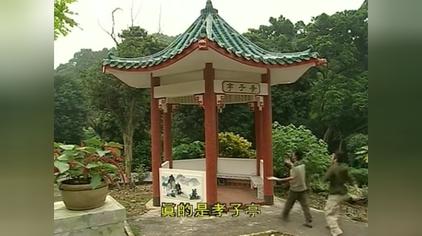 人生马戏团粤语06 西瓜视频