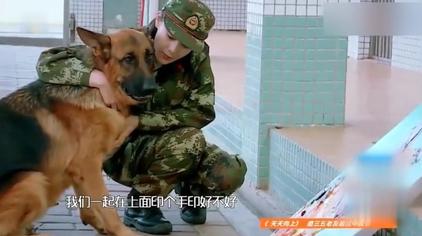 警犬怎么画又好看 西瓜视频