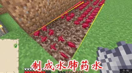 怎样做水下呼吸药水 西瓜视频 怎样做水下呼吸药水 西瓜视频