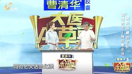 独活寄生汤的神奇功效 西瓜视频