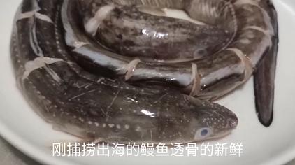 舟山筒鳗腌制方法 西瓜视频
