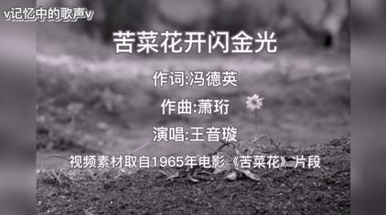 电影苦菜花歌曲原唱 西瓜视频
