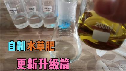 自制水族水草液肥配方 西瓜视频