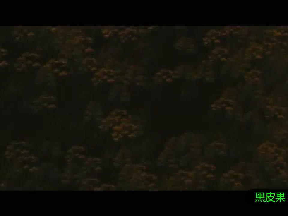 头文字d 粤语版 第三部藤原拓海毕业赛vs街道教父完整版 西瓜视频