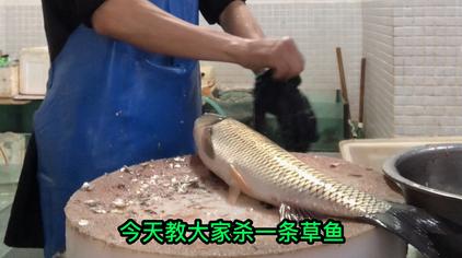 去鱼内脏鱼鳃的技巧 西瓜视频